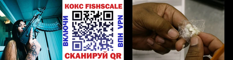 где продают   Завитинск  COCAIN Fish Scale 