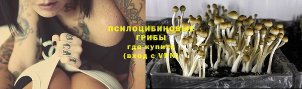винт Алзамай