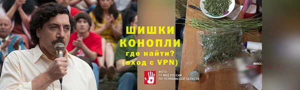гидра Алексин