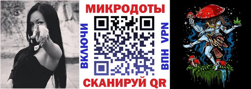 Псилоцибиновые грибы Psilocybe  Завитинск 